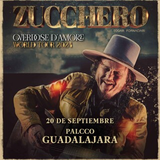 zucchero-rec